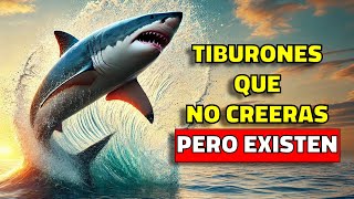 TOP 5 SHARKS NO CREERAS QUE EXISTEN [upl. by Regni]