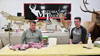 Learn Taxidermy Professional Tanning for Todays Taxidermists Part 2 [upl. by Shult]