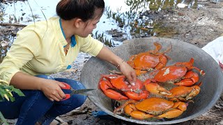 Catch and cook Mud Crab using Giant Pod  Coconut Stream Big Crab [upl. by Colyer799]