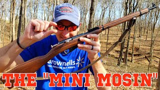 THE 22LR quotMINI MOSINquot NAGANT [upl. by Timoteo]