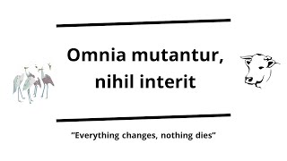 Omnia mutantur nihil interit  Ovid and Pythagoras [upl. by Refennej]