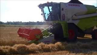 Trebbiatura Frumento 2014 Claas Tucano 430  C 450 [upl. by Enaerb]