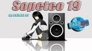 Animal DJ  Sopeteo 19 wwwanimaldjco [upl. by Moskow965]