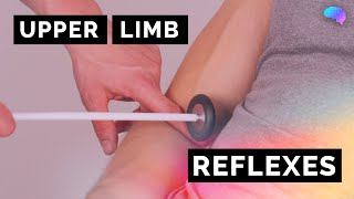 Reflexes of the Upper Limbs  OSCE Clip  UKMLA  CPSA [upl. by Fidellia]