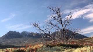 Autumn at Døråldalen Rondane Norway 2014 [upl. by Atiuqihs]