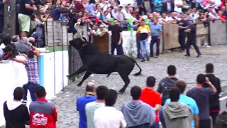 Algumas Imagens Tourada Feteira 2019  Ilha Terceira  Açores [upl. by Nnayllek]