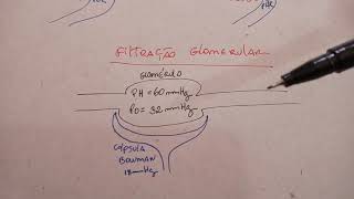 Biofísica Renal  Força de Starling  Resumo CBIO [upl. by Marcy193]