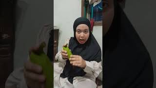 lagi makan semangka semangka lucu makanbuah funny shorts videoshort [upl. by Marion505]