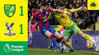 HIGHLIGHTS  Norwich City 11 Crystal Palace [upl. by Allerym391]