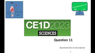 CE1D 2023 Sciences  question 11 [upl. by Oiralednac]