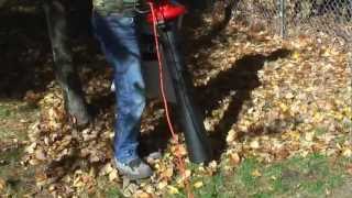 Toro 51609 Ultra Electric Blower  Vacuum with Metal Impeller  Vacuum and Mulching Demonstration [upl. by Yeruoc906]