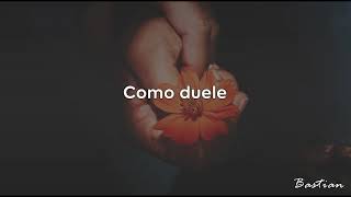 Luis Miguel  Como Duele Letra ♡ [upl. by Nilecoj]