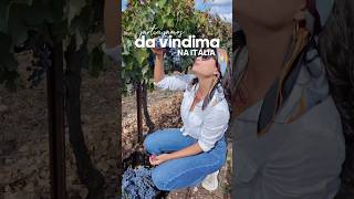 A festa da vindima itaia puglia viagem europa vinicola vinho turismoitalia [upl. by Anitnoc688]