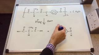 Hydrolysis of Polyamides [upl. by Asaeret764]