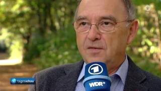 tagesschau 2000 Uhr 25092016 [upl. by Remlap]