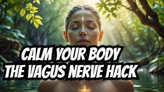 quotUnlock the Power of Your Vagus Nerve Calm Your Mind amp Boost Health Naturallyquot [upl. by Eerbua]