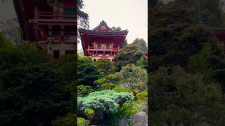 Japanese Garden japan japanesegardens garden zen travel shorts viralshorts youtube short [upl. by Garibald]