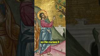 Why Did Jesus Curse the Fig Tree  Dr Jeannie Constantinou [upl. by Matthiew]