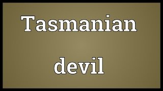 Tasmanian devil Meaning [upl. by Navarro371]