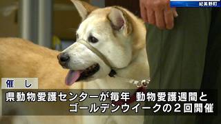 和歌山県動物愛護センター 犬や猫など動物と触れ合える「WAWフェスタ in 動物愛護週間」和歌山県紀美野町 [upl. by Lindblad551]