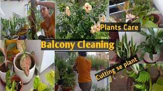 Balcony CleaningPlants Cutting Se Kase LagayeNew Plants ☘️🌵Plants MotivationPlants Happiness [upl. by Gnim]