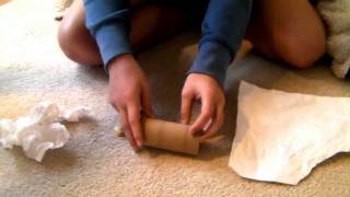 How to Make a Homemade Toilet Paper Roll Toy [upl. by Notlek]