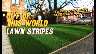 Insane Lawn Stripes Using Simple Products  Applying Weedol before Renovation Season [upl. by Evangeline]