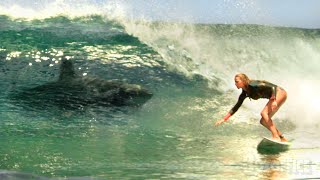 Shark attacks a surfer [upl. by Ecirtnahc]