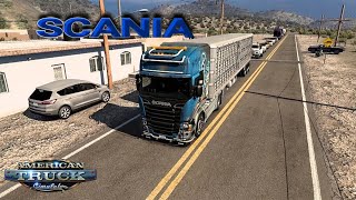 SCANIA por carreteras MEXICANAS con carga de ganado 🐮 vivo [upl. by Sanferd476]