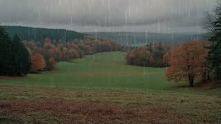 The wind sighs through the branches rain drizzles gently and a calm tranquil feeling surrounds [upl. by Teews]