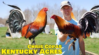 Nice Farm Chris Copas kentucky Acres Farm Visit [upl. by Ajed]