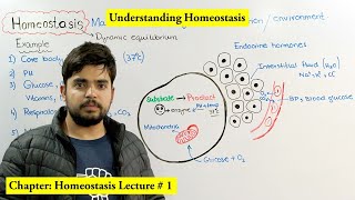 Homeostasis Introduction and Overview [upl. by Brig]