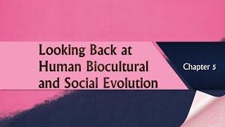 Looking Back at Human Biocultural and Social Evolution [upl. by Yrekcaz961]