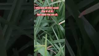 मोथा घास cyperus rotundusplants viralvideo [upl. by Ecyob]