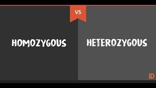 HOMOZYGOUS vs HETEROZYGOUS POPULATIONS  PLANT SCIENCE  PLANT BREEDING  BY AGRICARE AS [upl. by Jorie687]