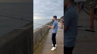 Mackerel Fish  Mackerel Fish Newhaven  mackerelfish bestfishingvideos hookfishing fishinguk [upl. by Anilas]