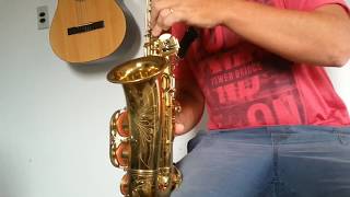 SAX ALTO VOGGA [upl. by Reyam657]