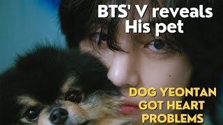 BTS V reveals his pet dog Yeontan has heart problems  BTS V Reveals Yeontans Health Struggle [upl. by Oby]