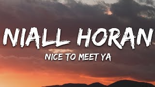 Niall Horan  Nice To Meet Ya Lyrics [upl. by Baudoin]