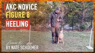 Expert Tips for Mastering the AKC Novice Figure 8 Heeling Exercise  Dog Training [upl. by Trin]