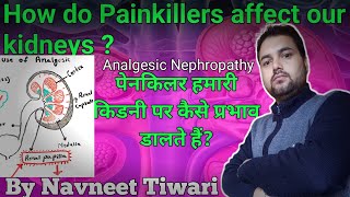 How do painkillers affect kidneys Analgesic Nephropathy Kidney damage due to pain killers Nephron [upl. by Aubert900]