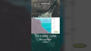 The Twilight Zone  Mesopelagic Zone ocean oceanwaves ytshorts tending viralvideo viralshorts [upl. by Ephrayim]