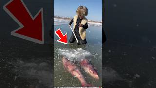 ये आदमी मछली की बर्फ से जान बचाता है  ice fish  shortsvideo [upl. by Ynnub642]