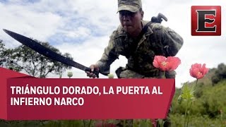 Triángulo Dorado tierra gobernada por el narcotráfico [upl. by Mcclain]