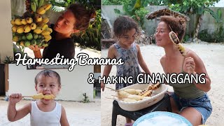 Harvesting our bananas for merienda GINANGGANG [upl. by Timothea]