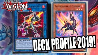 YuGiOh BEST NEW SALAMANGREAT SOULBURNER DECK PROFILE NEW CYBERSE COMBOS FEBRUARY 2019 TCG [upl. by Kohler38]