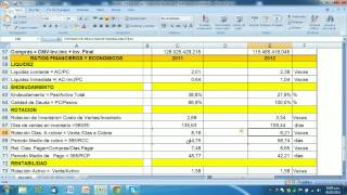 Cómo LEER E INTERPRETAR Estados Financieros de una Empresa de Capital Abierto  Parte II [upl. by Leahcir]