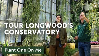 Longwood Gardens CONSERVATORY TOUR — Ep 308 [upl. by Anirres]