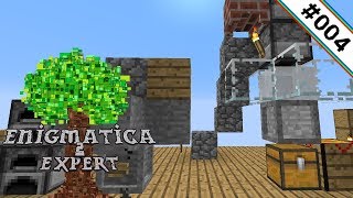 Große Fortschritte 🌳 Enigmatica 2 Expert Skyblock 004 [upl. by Iruj]