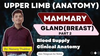 MAMMARY GLAND PART2  BLOOD SUPPLY CLINICAL ANATOMY [upl. by Aitnom]